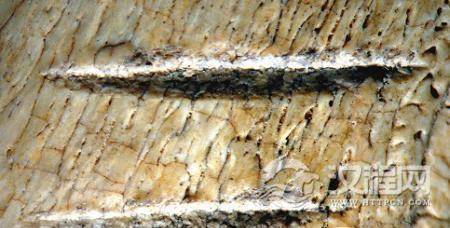 1487129841286946.jpg 8-16051Q21233927.jpg