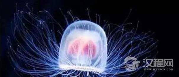 1517822998283510.png 20180205172933.png