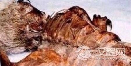 1499565490501680.jpg 20161117032602976.jpg