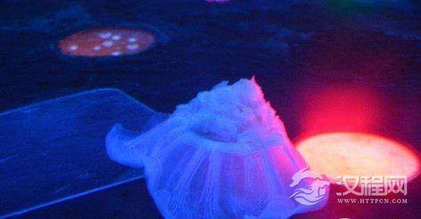 1516937433882370.jpg 1499158141966841.jpg