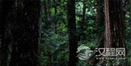 1485328144314708.jpg 1.jpg