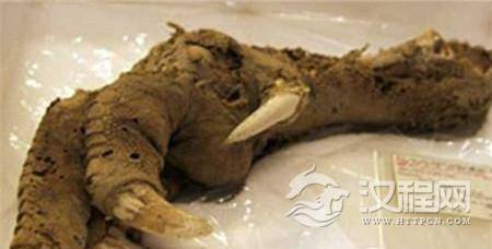 1484703516548846.jpg 20150419H0908_vhANu.thumb.700_0_副本.jpg