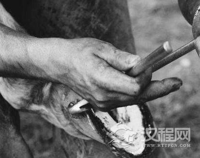 1572934788807810.png image.png