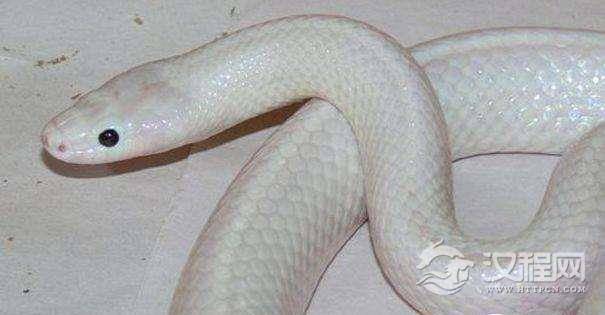 1516935719968629.jpg 1499045657725227.jpg