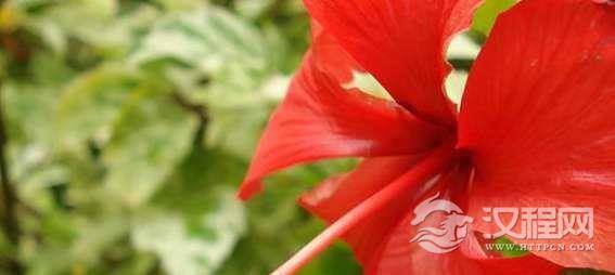 1542691893352975.png image.png