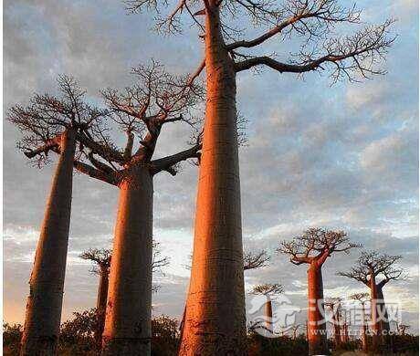 1515981692530057.jpg 2_171020165908_1.jpg