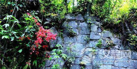 1486021757990892.jpg 1.jpg