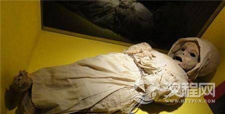 1493800279707026.jpg 144462781367059618.jpg