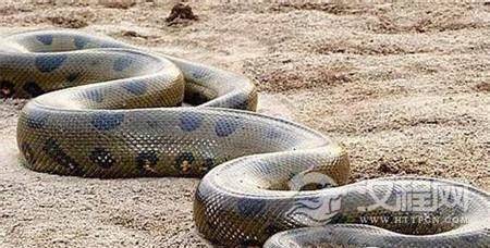 1493879710365507.jpg 2 (5).jpg