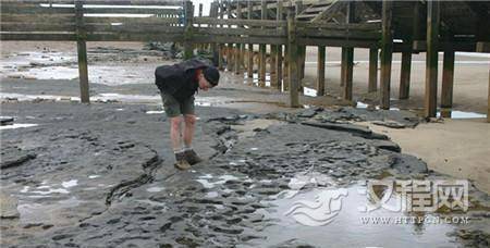 1483940901116764.jpg 1_副本.jpg