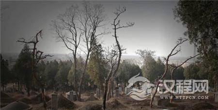 1503303064773396.jpg 8-16051Q21233927.jpg