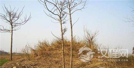 1484097639427372.jpg 20140911104753117.jpg