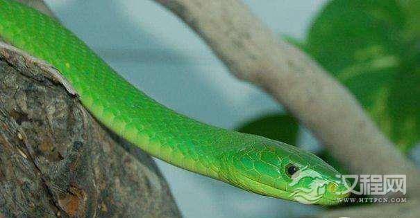 1517209928886188.jpg 1498204963553488.jpg