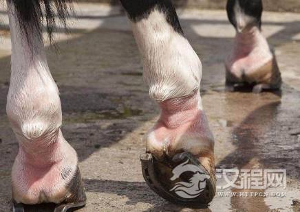 1572934785439342.png image.png