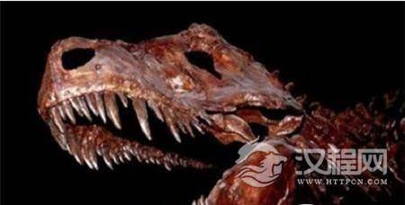 1488269949636560.jpg QQ截图20170228161855_副本.jpg