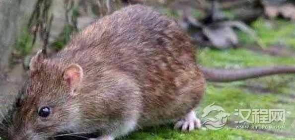 1536040966362746.png image.png