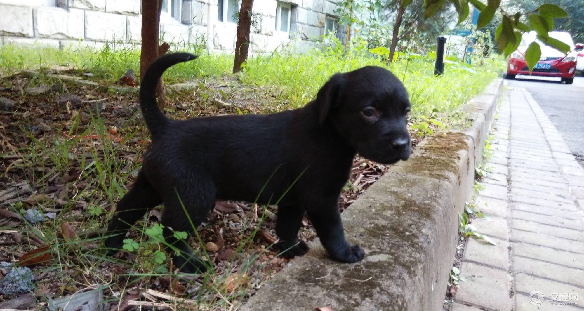 1513925040231708.jpg 1513925040231708.jpg