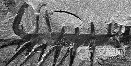 1489398354701287.jpg 20141215115319791_副本.jpg