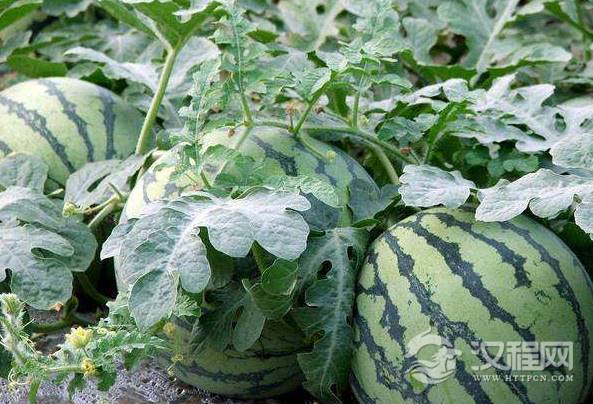 1550039635311684.png image.png