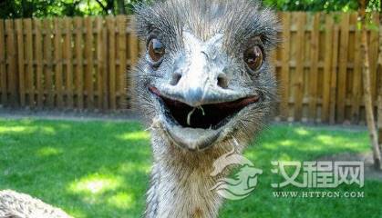 1551679158275192.png image.png