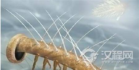 1487914492882211.jpg QQ截图20170224133431_副本.jpg