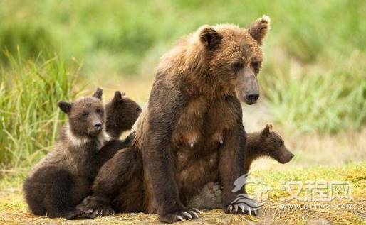 1551407440318730.png image.png