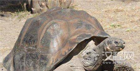 1485496367459958.jpg d.jpg