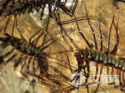 1571366661425224.png image.png