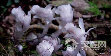 1498546773182349.jpg 1_副本1.jpg