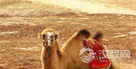 1497930759961413.jpg 18a5000201db20fa8548.jpg@100q.jpg