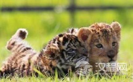 1601191977955887.png image.png