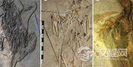 1490493642452582.jpg 2.jpg