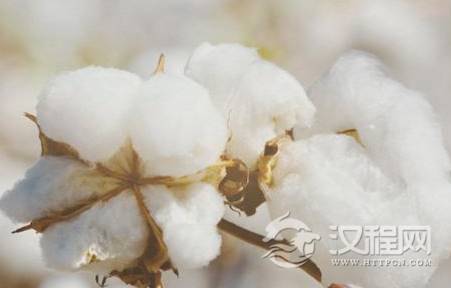 1609300690618791.png image.png