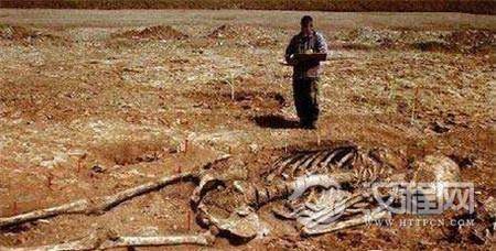 1485324465215463.jpg 9273b73d232143898a75cda7c7bd17cd_th.jpg