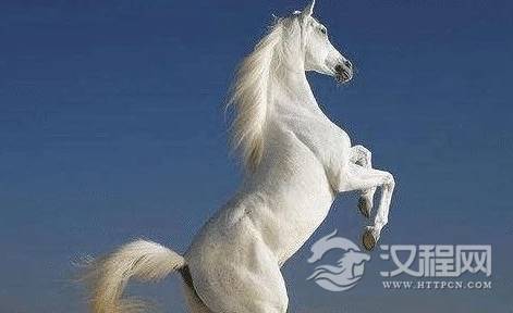 1606446576218822.png image.png