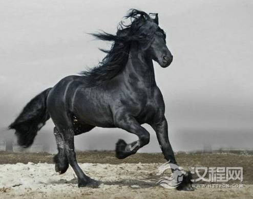 1599104450845746.png image.png