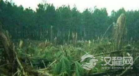 1515395624421132.png blob.png