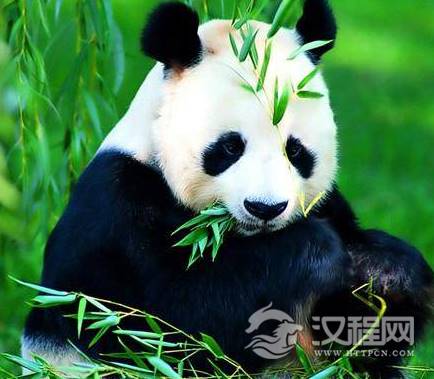 1592208682799364.png image.png