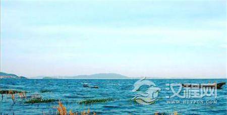 1494139320296597.jpg 144462781367059618.jpg