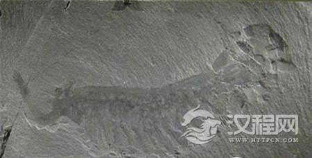 1483937954851871.jpg 1.jpg