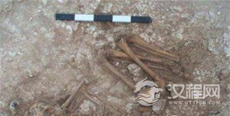 巨石阵发现神秘男童尸骸 巨石阵发现神秘男童尸骸