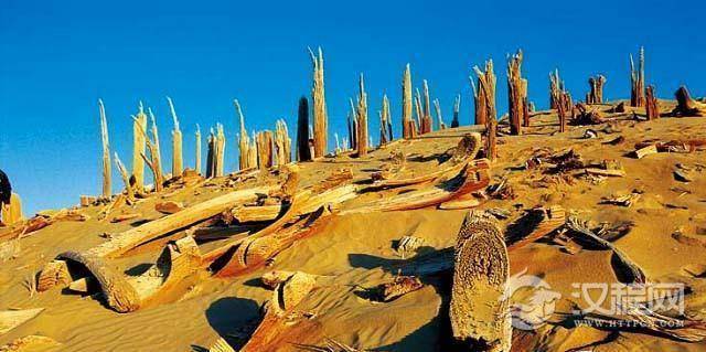 史前文明 史前文明