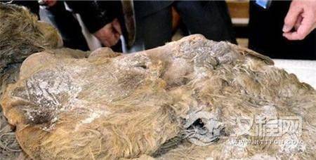 1485074196418385.jpg 3.jpg