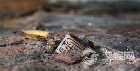 1487225190305371.jpg timg.jpg