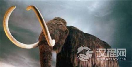 1486093361384557.jpg 0J2134353-3.jpg