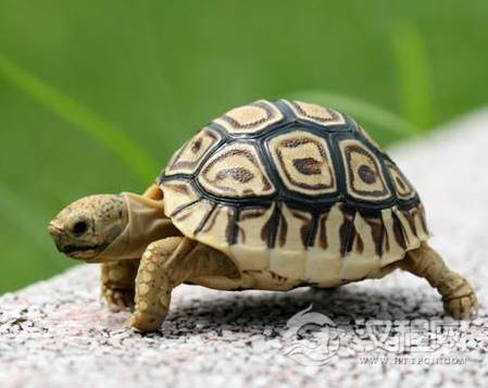 1583996225484226.png image.png