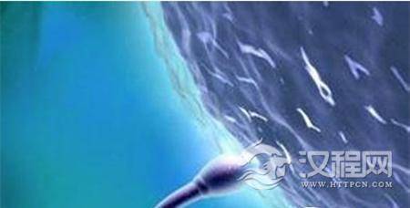 1490016110672512.jpg QQ截图20170320212252_副本.jpg