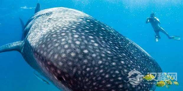 1520575207475746.png 3_tcm32-426136.png