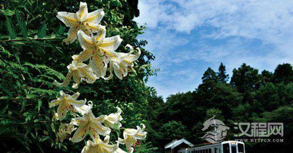 雪龟号沿途风景