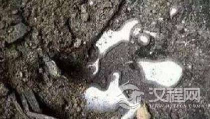 1573184070385991.png image.png